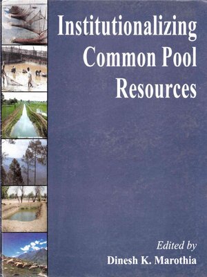 cover image of Institutionalizing Common Pool Resources